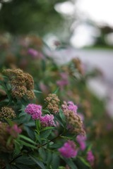 20140526-20140601-11