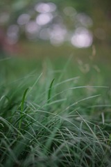 20140526-20140601-13