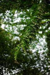 20140526-20140601-17