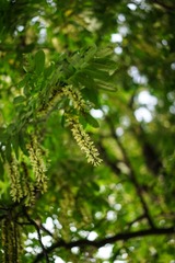 20140526-20140601-18