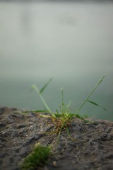 20140526-20140601-21