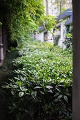 20140526-20140601-23