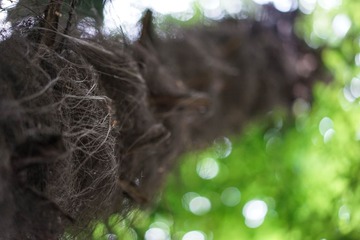 20140526-20140601-24