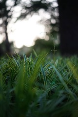 20140526-20140601-26