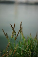 20140526-20140601-30