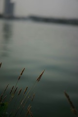 20140526-20140601-31