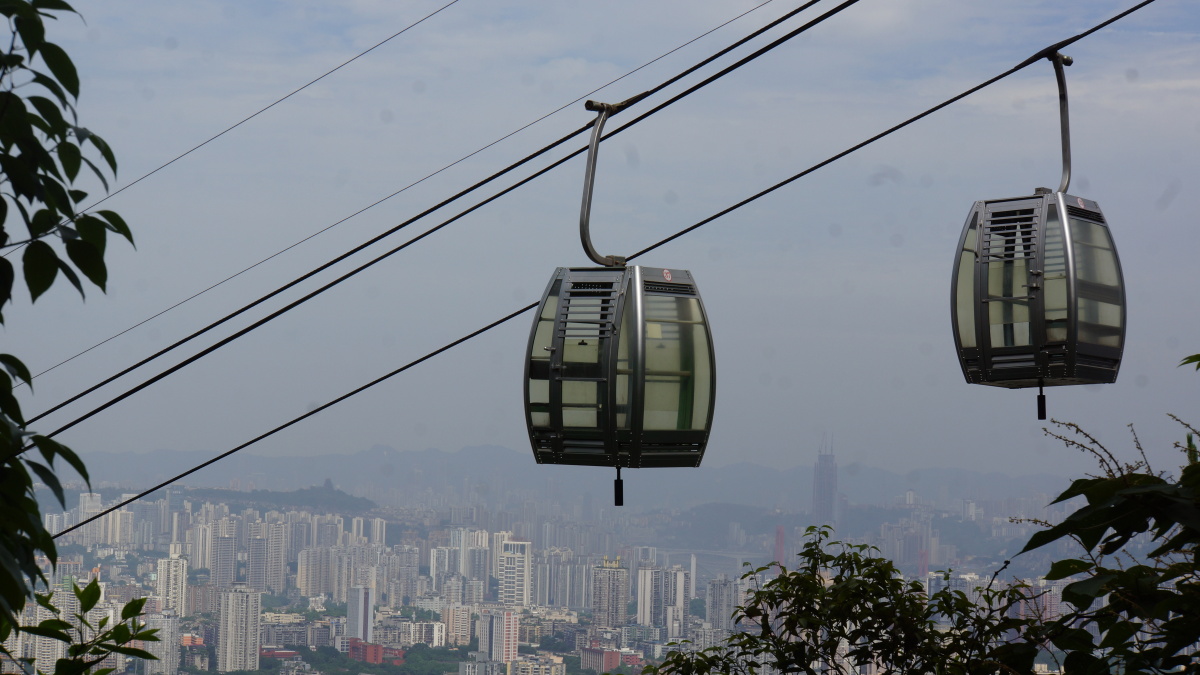 歌乐山落花落叶