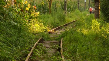 5926129