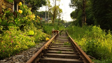 5926125
