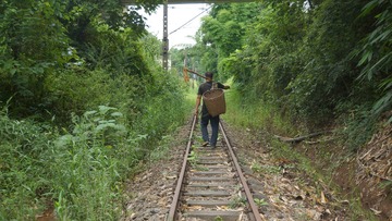 5925811