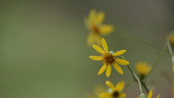 7694458
