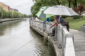 IMGP2029-3