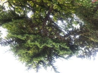 20140518_160807