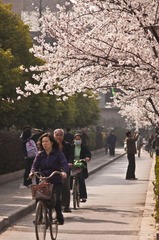 北京东路