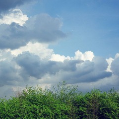LXJ_9688.JPG