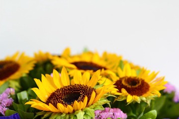 IMG_5700.JPG