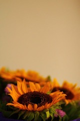 IMG_5701.JPG