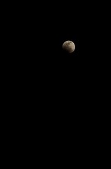 IMG_7975.JPG