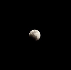 IMG_7985.JPG