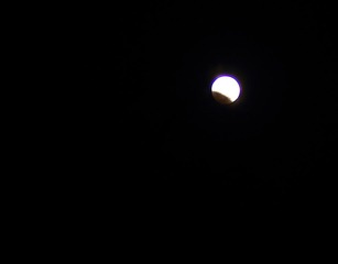 IMG_8002.JPG