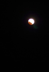 IMG_8015.JPG