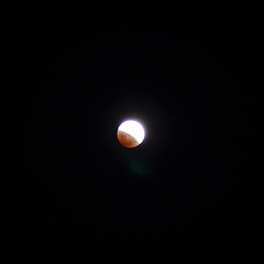 IMG_8019.JPG