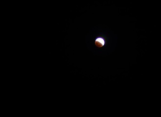 IMG_8026.JPG