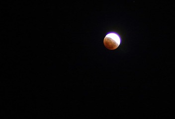 IMG_8035.JPG
