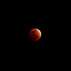 IMG_8070.JPG