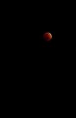 IMG_8074.JPG