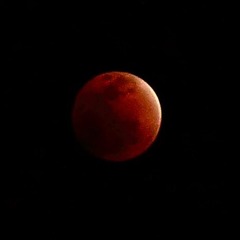 IMG_8076.JPG