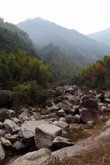 IMG_8156.JPG
