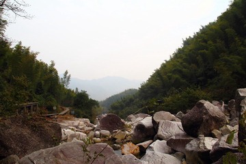 IMG_8159.JPG