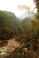 IMG_8160.JPG