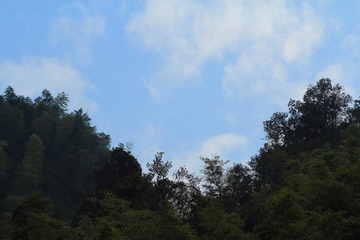 IMG_8164.JPG