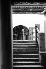 IMG_2222.JPG