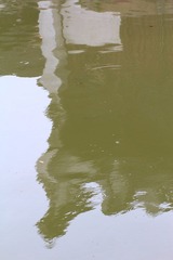 IMG_2257.JPG