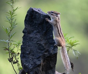 DSC_8022 拷贝