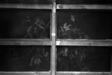 2010-1011-OlympusMju1-LuckySHD100New-0010