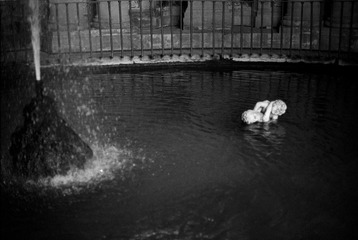 2010-11-PentaxSuperA-IlfordHP5Plus-0024