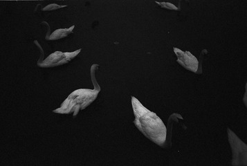 2010-06-mju1-IlfordHP5-1008-