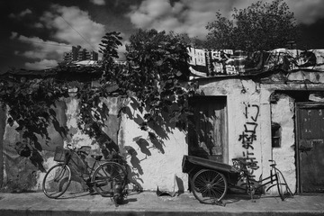 DSCF0756_bw.jpg