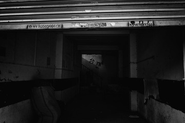 DSCF2784.jpg