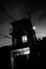 DSCF5301.jpg