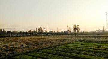 746391