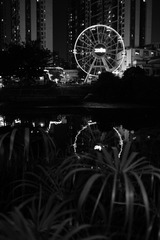 239772A7-4E6D-4AD4-B4A7-AC1B385B1B80/L0/001