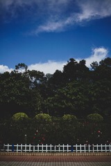 4C0BD06D-0272-40FE-AF07-A86ECEF99F60/L0/001
