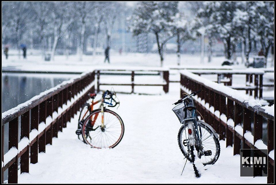 安亭雪景<br />
