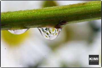 水滴