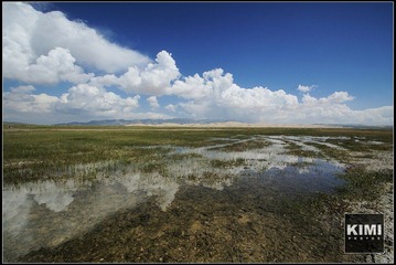 青海湖畔